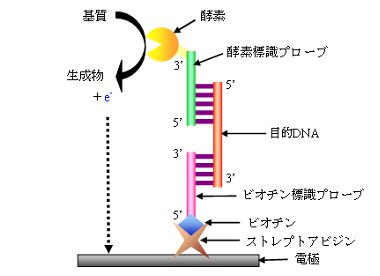 fig2