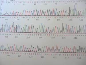 DNAの塩基配列データ