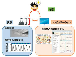 数理解析を繰り返して新しい発見を目指します